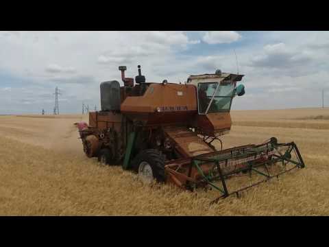 Видео: Комбайн Нива СК 5 уборка озимой пшеницы 5й день
