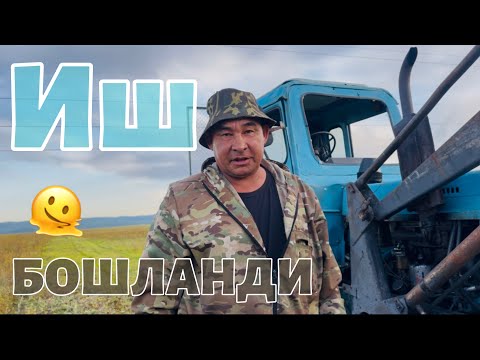 Видео: “Ўтни кечиктирсак, ҳосил кетадими?”#ферма #чорвачилик #узбекистан #киргизия#фермерлик #куйлик#қишлоқ