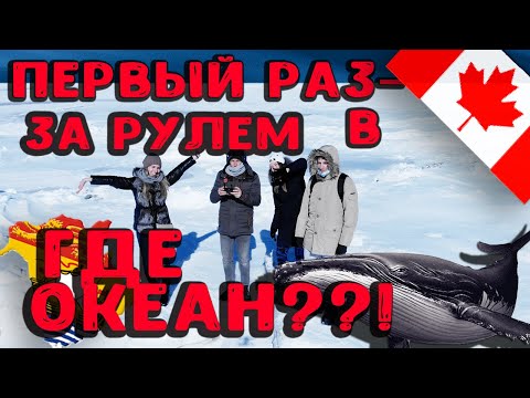 Видео: Увидели Океан в Канаде||Первый раз за рулем в Канаде