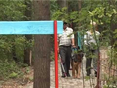 Видео: Фильм о слепых "Окно в Мир"