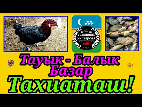 Видео: 19.10.25ж.ТАУЫК - БАЛЫК БАЗАР #тахиаташ#каракалпакистан#бахалары#цены#тауык#балык#шоже#тауык#кораз 