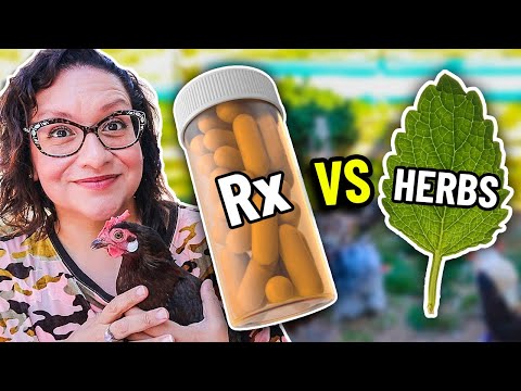 Видео: Болезнь поразила всё моё стадо. Вот как я их СПАС.