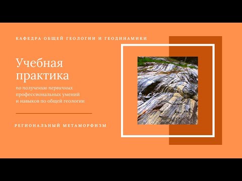 Видео: Рег метаморфизм