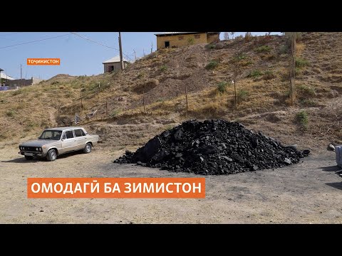 Видео: "Зимистон сард ояд, ангишту ҳезумамон кофӣ нест"