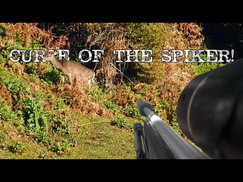 Видео: Где все самки? Соревнование Sika Hind Pt2