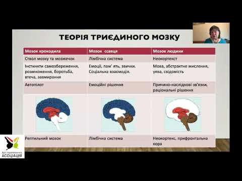 Видео: Емоційна стабілізація та розвиток навичок керування емоційними станами 2023-2024