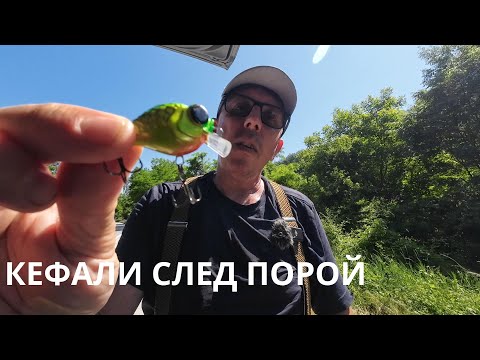 Видео: КЕФАЛИ СЛЕД ПОРОЙ