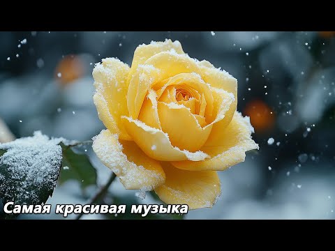 Видео: Самая красивая мелодия в мире🌿Хочется слушать вечно🌿Музыка Сергея Грищука