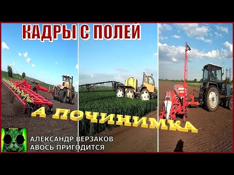 Видео: Началось в колхозе утро 8/4-й выпуск 2022г.  Кадры с полей.