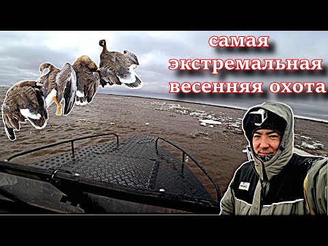Видео: САМАЯ ЭКСТРЕМАЛЬНАЯ ВЕСЕННЯЯ ОХОТА!!! ПЯТЬ ДНЕЙ НА ВЕСЕННЕЙ ОХОТЕ!! ВЕСНОВКА 2022 GOOSE HUNTING 2022