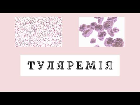 Видео: Туляремія /  Francisella tularensis