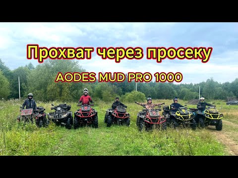 Видео: Пятничный прохват через просеку на квадроциклах AODES 1000 Mud Pro