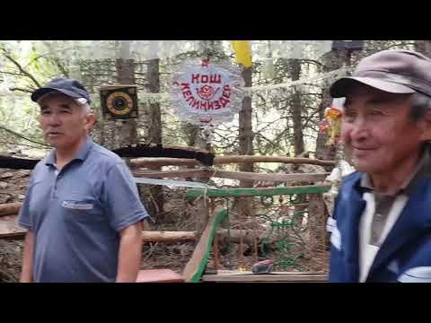 Видео: Кара-Коюн