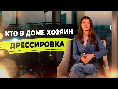 Видео: Топ 5 команд собаки. Дрессировка собак. Генетика щенков.