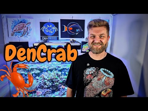 Видео: DenCrab и его аквариум.