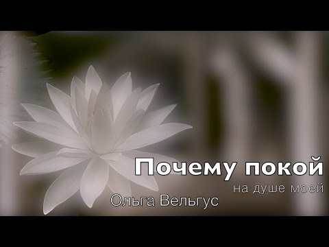 Видео: ПОЧЕМУ ПОКОЙ. Ольга Вельгус (2015)