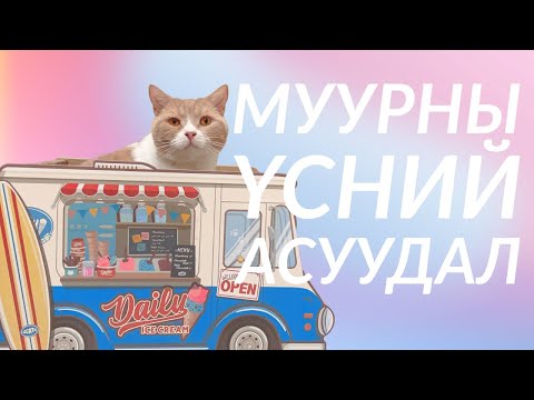 Видео: муурны үсний асуудал яах вэ???