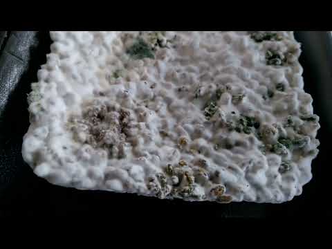 Видео: Ращу грибы на начало сезона