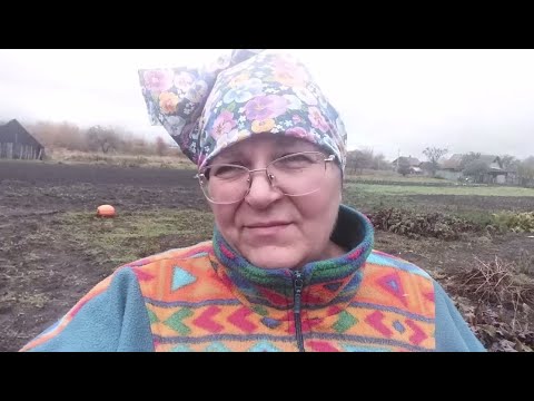 Видео: УБИРАЕМ МОРКОВЬ И СВЕКЛУ С ОГОРОДА // НАРОСЛИ ЛИЛИПУТЫ // ЗАЗИМОВАЛИ ! // ЖИЗНЬ В ДЕРЕВНЕ