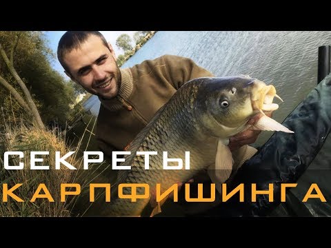 Видео: Секреты карпфишинга. Вязание поводков для разных насадок, выбор иглы, идеальная длина волоса.