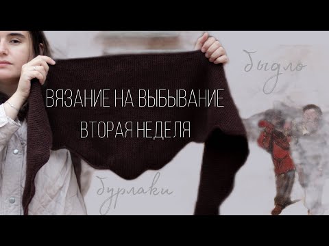 Видео: быдло, бурлаки, улыбка мусорянина, косынка  🌱 вторая неделя #внв_5