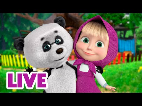 Видео: 🔴 ПРЯМОЙ ЭФИР! LIVE Маша и Медведь 👱‍♀️🐻 Первая помощь в знакомстве 🐼🤗🥰