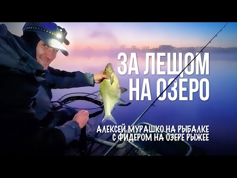 Видео: Фидерная рыбалка на озере Рыжее. Ловля леща — от замеса прикормки до вываживания