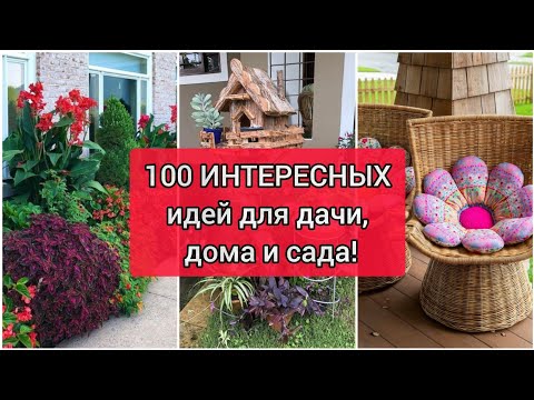 Видео: 100 ИНТЕРЕСНЫХ ИДЕЙ для дачи, дома и сада! DIY// 100 interesting ideas for garden!