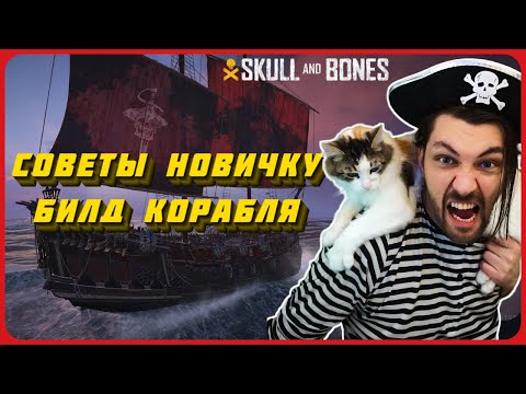 Видео: Советы по игре. Билд сильного корабля. Skull and bones