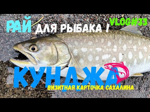 Видео: РАЙ ДЛЯ РЫБАКА | Хищница Сахалина