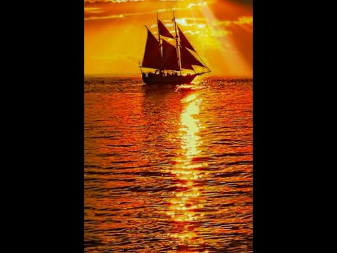 Видео: Вдали.