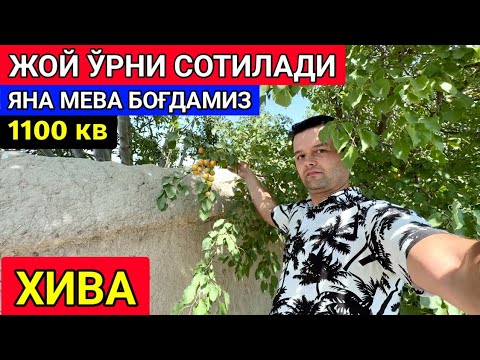 Видео: ХИВАДА ЖОЙ ЎРНИ СОТИЛАДИ 1100 КВ  13-июнь 2024 г.