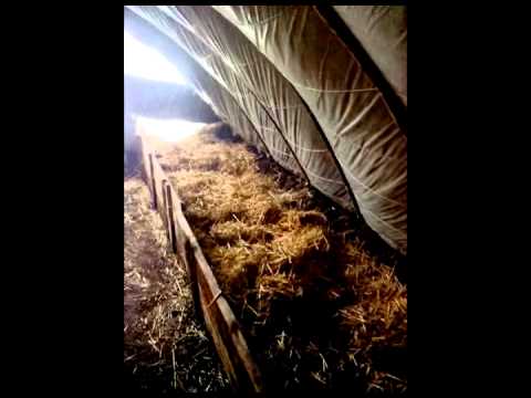 Видео: АТ9 Дендробена венета. Ящики для разных разновидностей червей в одном помещении