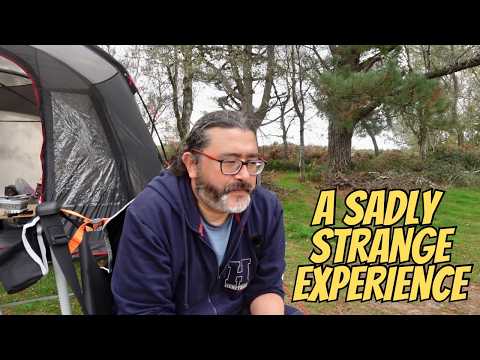 Видео: Автокемпинг в Нью-Форесте (место для караванов и кемпинга Холмсли)