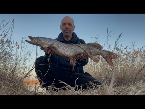 Видео: Рыбалка удалась ! Трофей упущен !