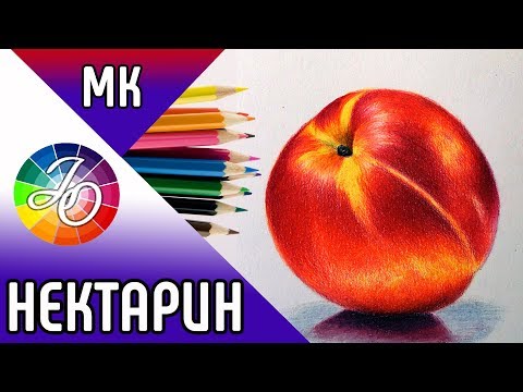 Видео: НЕКТАРИН 👍✔Как нарисовать нектарин, мастер класс по рисованию цветными карандашами (натюрморт)
