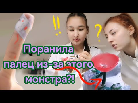 Видео: Vlog: Вспоминаем прошлую сессию! Практические занятия в колледже