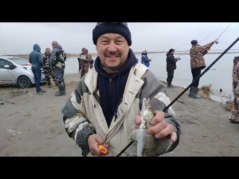 Видео: Арнасай, Золотой мост. 03.01.2022