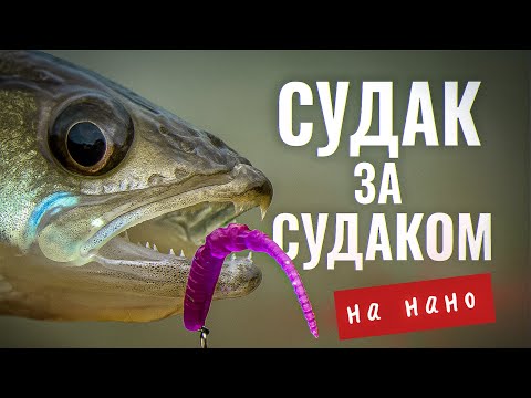 Видео: ПОПАЛ на ЖОР СУДАКА 🔥 / РЫБАЛКА на НОВОМ ОЗЕРЕ с НАНО ДЖИГОМ
