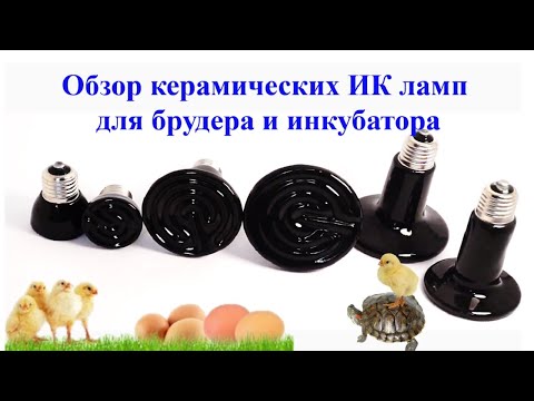 Видео: Обзор керамических ИК ламп для брудера и инкубатора Obzor keramicheskikh IK lamp
