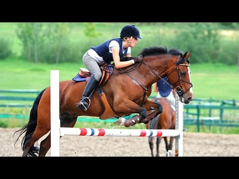 Видео: Открытый класс. 110 см. Конкур в Жашкове. КСК Parade Allure. 09.04.2016 г.