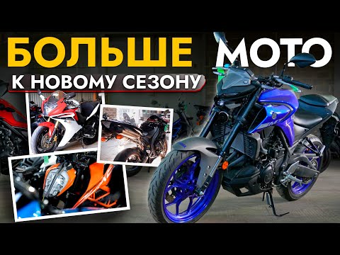 Видео: ТОП МОТОЦИКЛОВ ИЗ ЯПОНИИ ОТ 400 000❗️ОБЗОР ЦЕН И МОДЕЛЕЙ❗️HONDA, SUZUKI, DUCATI, KAWASAKI и другие