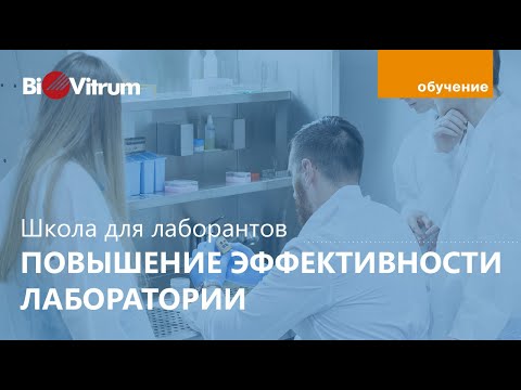 Видео: Эффективность гисто-лаборатории