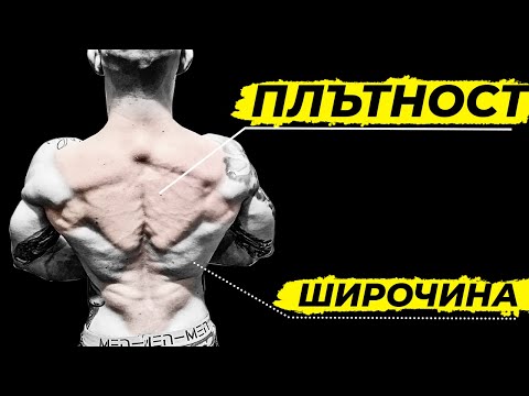 Видео: Упражнения за гръб - КАК ДА РАЗВИЕМ ПЛЪТЕН ГРЪБ?