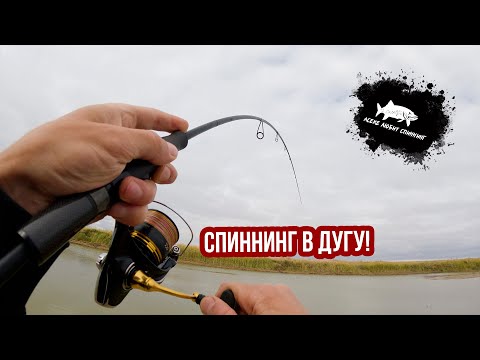 Видео: МОНСТРЫ В МАЛЕНЬКОЙ РЕЧКЕ. #рыбалка2025 #fishing #рыбалканащуку