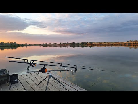 Видео: 48 годин на риболовлі в наметі. Ловив карасів і узяв ВІН