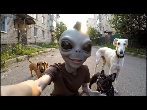 Видео: Гогений / Эпизод 19