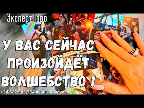 Видео:  ✨У ВАС НАЧНУТ ПРОИСХОДИТЬ НЕВЕРОЯТНЫЕ ВЕЩИ В СУДЬБЕ ✨ #ТАРО