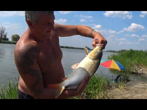 Видео: Встреча с подписчиками.) Рыбалка на Реке Днестр. Сазан и карась на макушатник 07\08\09...2020.