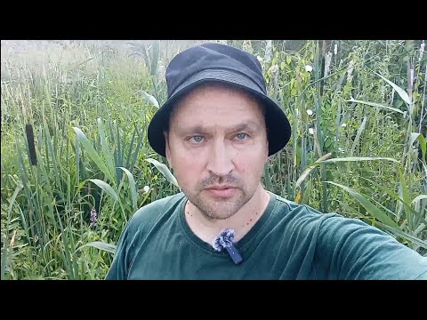 Видео: Прогулка до озера. Попил пивка 🍻 с вяленой рыбой.